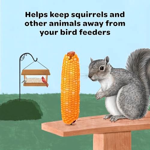 Kaytee Corn on the Cob for Wildlife Feeding, Squirrels & Deer, 6.5 lb (Pack of 6)