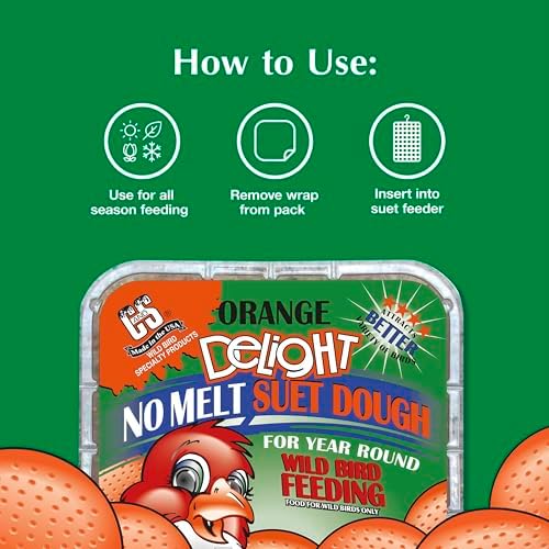 C&S Orange Delight No Melt Suet Dough, Suet Cakes for Wild Birds
