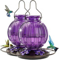 2 Pack Glass Hummingbird Feeder for Outdoors Hanging, Bird Nectar Feeder with Perch & 5 Flower Feeding Ports, 26 Oz Leak Proof for Outside Garden Decor Backyard, Gifts for Women Mom, Purple