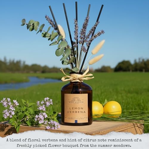 Reed Diffusers - Oil Sticks Diffuser Set with Real Dried Flowers - Reed Diffusers for Home, Bathroom & Office | Air Freshener Fragrance Sticks for Shelf Decor & Gifts by Le Petit Jardin & Co.
