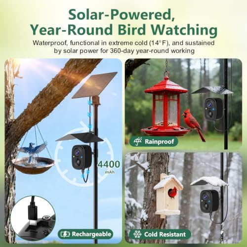 Smart Bird Camera Solar Powered with Pole for Feeder/Bath Birdwatching