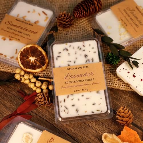 SCENTORINI Wax Melts, Premium Wax with Essential Oil, 2.5oz x 3 Pack