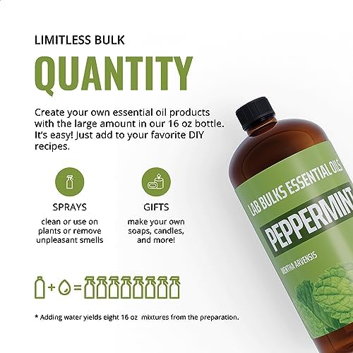 Lab Bulks Essential Oil Peppermint 16 oz - 2 Pack