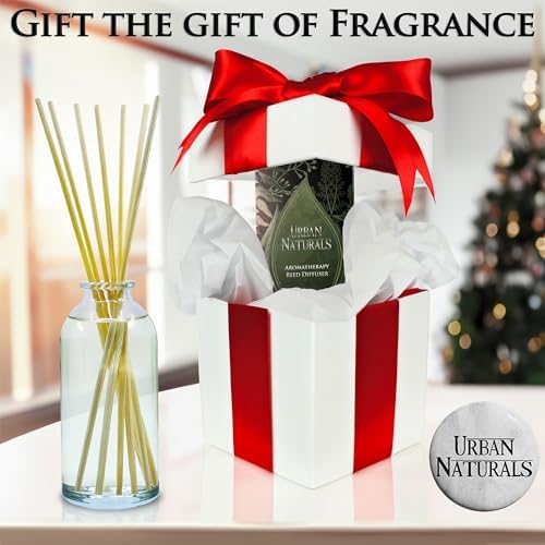 Urban Naturals Reed Diffuser Set, Gingerbread Cookie - Bathroom Shelf Décor