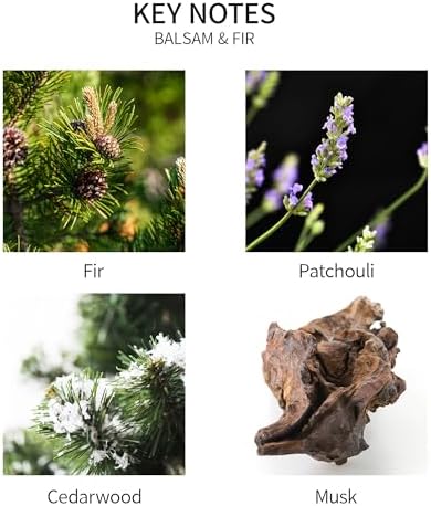 Airkeep Reed Diffuser Oil Set with Reed Sticks,Balsam Fir Aromatherapy Oil Scent Diffuser for Home Office Bathroom Decoration Perfume and Gifts 3.38oz/100ml