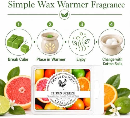 Citrus Breeze Soy Wax Melts, 2 Pack