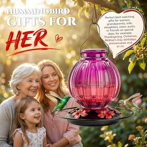 Glass Hummingbird Feeder for Outdoors Hanging, 26 fl oz Bird Nectar Feeder
