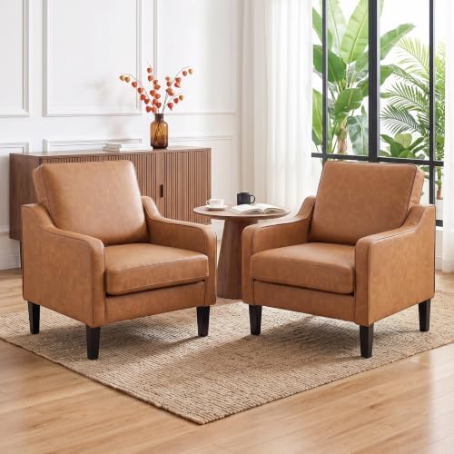 VINGLI Accent Chairs Set of 2, Modern Traditional Armchair for Living Room