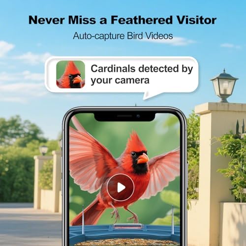 Fazoxo Bird Feeder with Camera,Birds House Camera,Solar Powered,AI Bird ID