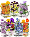 Seed Needs Edible Flower Seeds Variety Pack of 7 Wildflowers for Garnishing