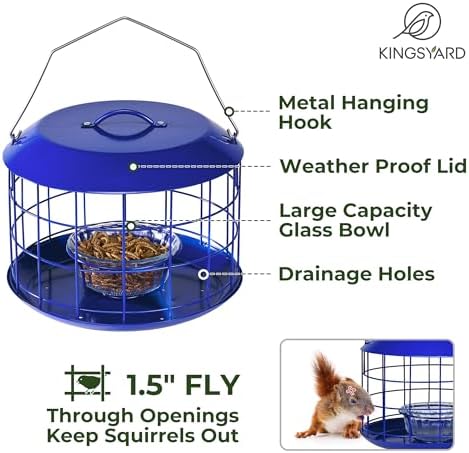 Kingsyard Bluebird Feeders for Outdoors Hanging