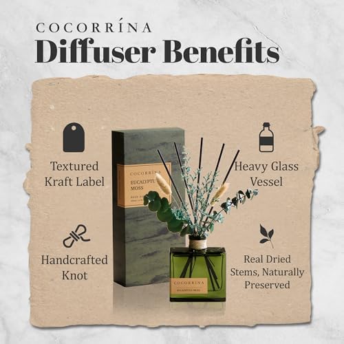 COCORRÍNA Dried Flowers Reed Diffuser, Eucalyptus Moss Scent 6.76 fl oz