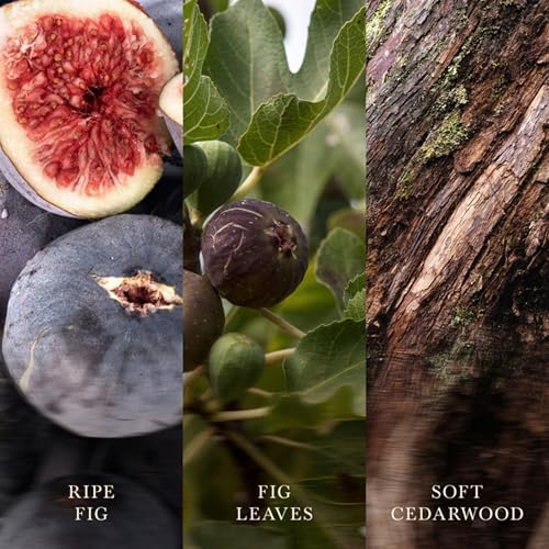 WoodWick Verdant Fig Scented Candle, Crackling Wick, 9.7oz