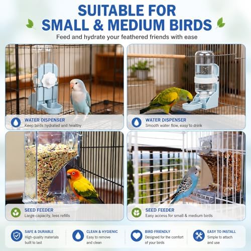 Rypet No-Mess Bird Feeder and Water Dispenser Set for Small Birds