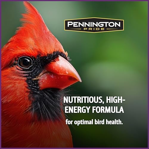 Pennington Songbird Nut & Fruit Blend Wild Bird Seed for Outside Feeders