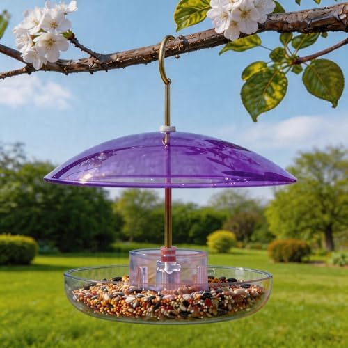 8" Mini Plastic Rain Cover for Bird Feeder, 2-Pack Purple Weather Guard