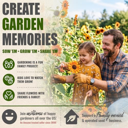 Seed Needs Sunflower Seeds Variety Pack of 6 Flowers for a Butterfly Garden