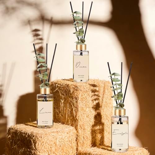 Reed Diffuser Set of 3, Eucalyptus, Linen, Ocean Oil Diffusers with Sticks