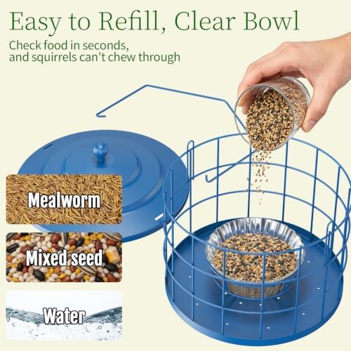 Birdream Metal Cage Bird Feeder for Outdoors Hanging with Glass Bowl, Blue