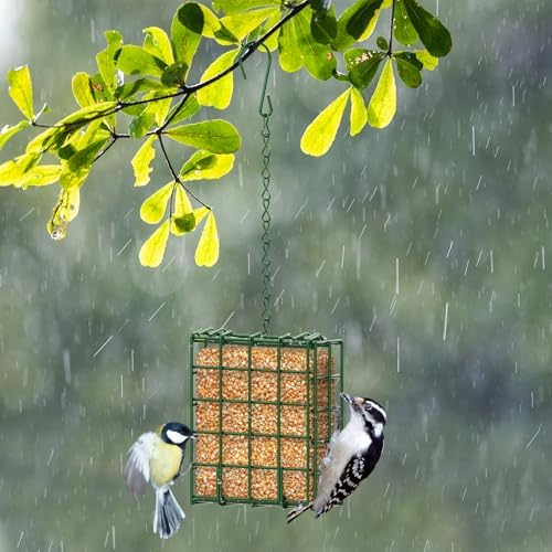 Bird Feeder for Outdoors, Suet Feeder for Outside Hanging Suet Basket Cage
