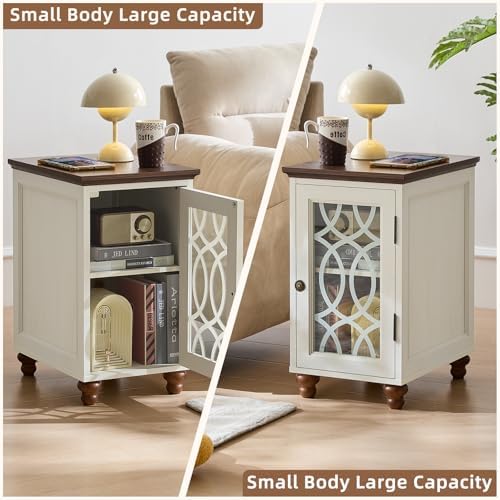 Joaxswe Narrow Side Table with Glass Door Storage