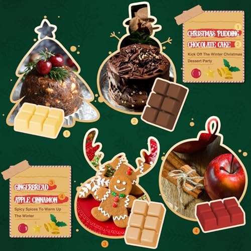 Salubrito Christmas Scented Wax Melts, Strong Scented Soy Wax Cubes/Tarts Variety Set - Apple Cinnamon, Gingerbread, Christmas Tree, Pudding, Sugared Cranberry, Candy Cane, Mistletoe, Chocolate Cake