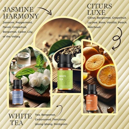 Waterless Rechargeable Waterless Diffuser – Hotel Collection Diffuser Set with 6 Hotel Essential Oils – Two Intensity Modes – Home & Office Fragrance Machine