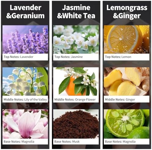3 Pack Fragrance Reed Diffuser, Lavender Jasmine Lemongrass, 50ML
