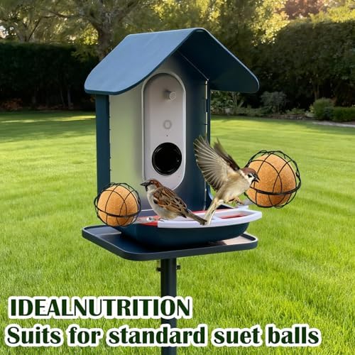 2PCS Metal Suet Ball Holder for Bird Buddy, Bird Suet Ball Cage Durable Bird Feeder Accessories with 5mm Screw Hole and 2 Perch Extender Compatible with Outdoor Smart Feeders (Dia 3.15", Dia 2.75")