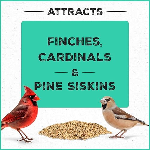 Pennington Pride Wild Finch Blend Wild Bird Seed, 10-lb Bag