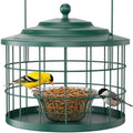 Birdream Metal Cage Bird Feeder for Outdoors Hanging with Glass Bowl, Green