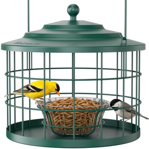 Birdream Metal Cage Bird Feeder for Outdoors Hanging with Glass Bowl, Green