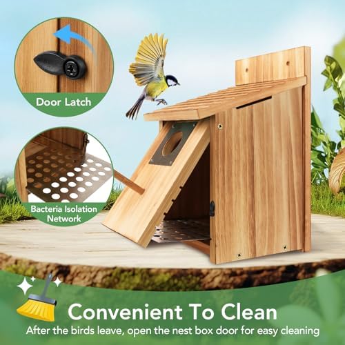 2 Pack Bird Houses for Outside, 1-1/2" Entrance Cedar Birdhouse