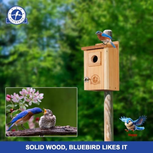 SISTERBIRD 2 Pack Blue Bird Houses for Outdoors, Warming Gifts Bird House