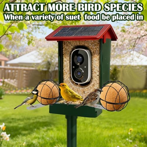 2PCS Metal Suet Ball Holder for Bird Buddy, Bird Suet Ball Cage Durable Bird Feeder Accessories with 5mm Screw Hole and 2 Perch Extender Compatible with Outdoor Smart Feeders (Dia 3.15", Dia 2.75")