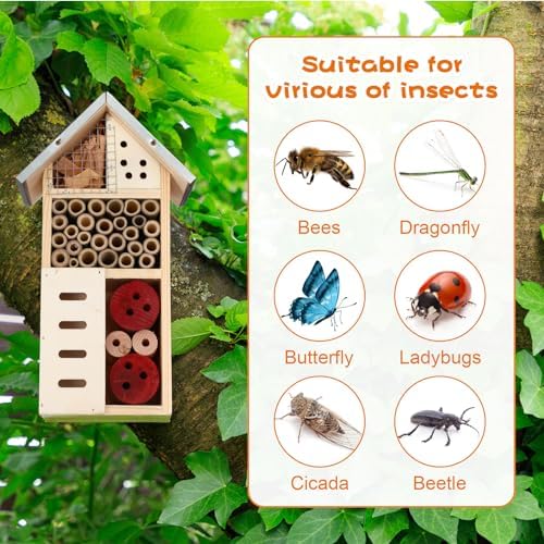 Maitys 3 Pcs Wooden Mason Insect Bee Hotel Butterfly House Natural Ladybug House Bug Hotel for Garden Outdoor Butterfly Ladybugs Live Bee Box Attracts Pollinators, 10 x 5.5 x 2.5 Inch