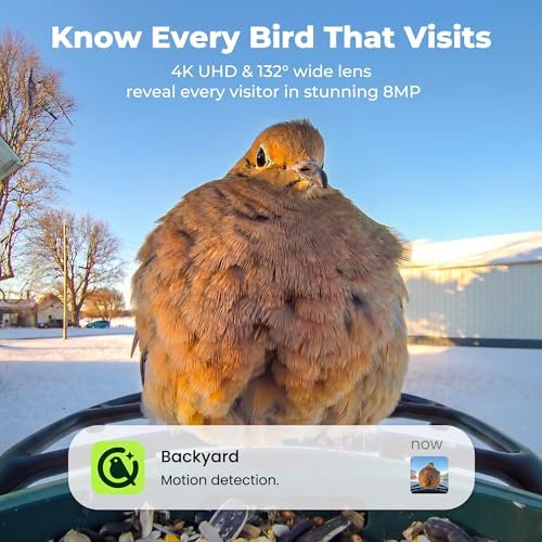 Kiwibit Solar Smart Bird Feeder with Camera, 4K HDR Live Video, AI Bird ID