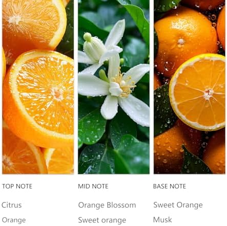 Waterless Essential Oil Orange 20ML Sampler