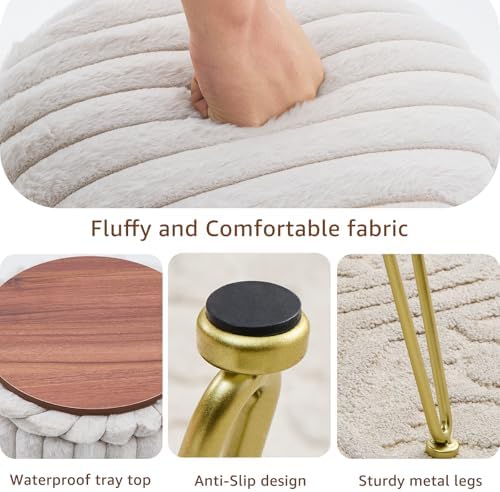 Wimarsbon Vanity Stool with Storage, Faux Fur Ottoman Chair with Metal Legs