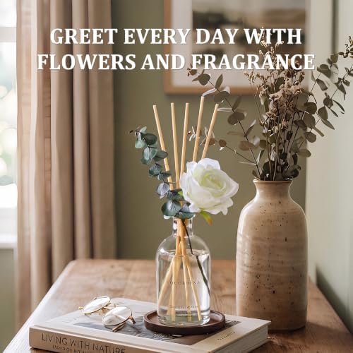COCORRÍNA Reed Diffuser Eucalyptus Moss 6.76 fl oz Home Bathroom Fragrance
