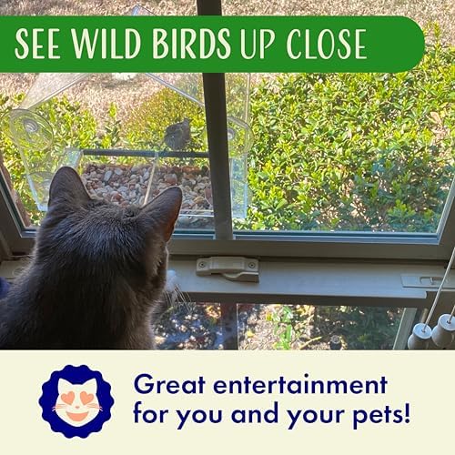 Window Bird Feeder with Strong Suction Cups Clear Transparent Bird House