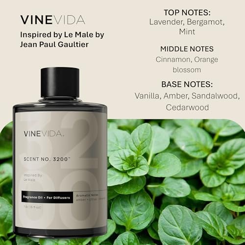 VINEVIDA [16 Fl Oz] Scent NO. 3200 Fragrance Oil for Cold Air Diffusers, Aromatic Notes of Lavender, Bergamot, Mint & Cinnamon Essential Oils for Diffuser Oil Refill & Air Freshener Spray