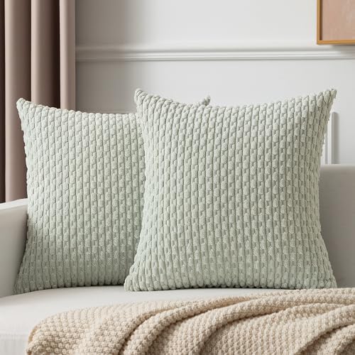Kevin Textile Soft Corduroy 20x20 Inch Pillow Covers 2 Pack, Light Green