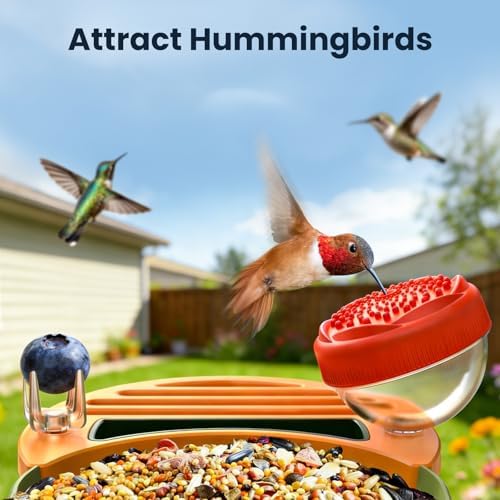 DIY Bird Feeder Add-Ons for WLNYUGS Bird Feeder Camera