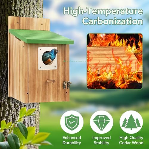 2 Pack Bird Houses for Outside- Cedar Bird House with Metal Predator Guard