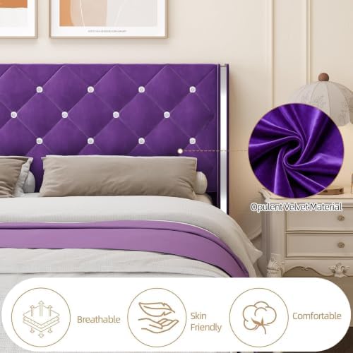 HOMBCK Twin Bed Frame with Velvet Headboard, Silverside Wingback, Purple