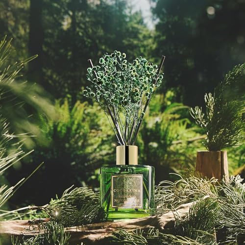 COCORRÍNA Reed Diffuser - Redwood National Park 6.7 Fl.oz Reed Diffuser Set with 8 Sticks & Preserved Baby's Breath, Reed Diffuser for Home Bathroom Shelf Decor