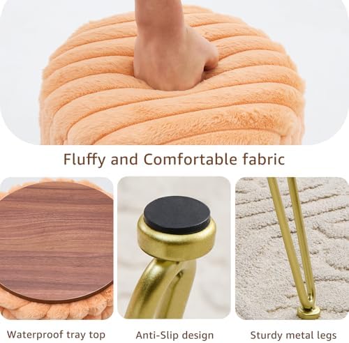Wimarsbon Vanity Stool with Storage, Faux Fur Ottoman Chair with Metal Legs