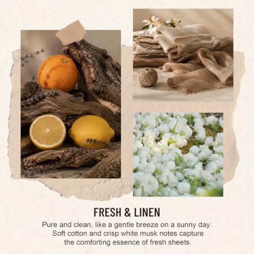 Auelife Reed Diffuser for Home, Fresh & Linen Scent Diffuser 2 Pack 8 Fl Oz