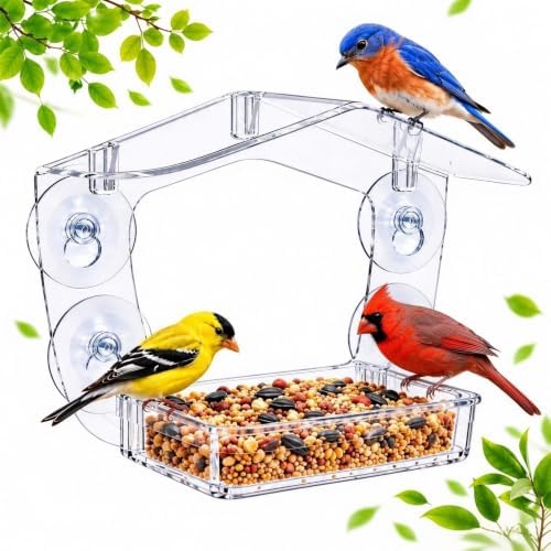 Large Window Bird Feeder with 4X Strong Suction Cups, Acrylic for Garden